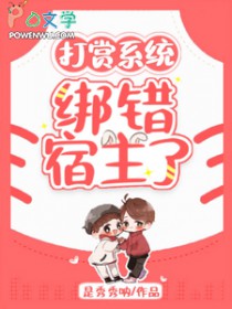 打赏系统：绑错宿主了