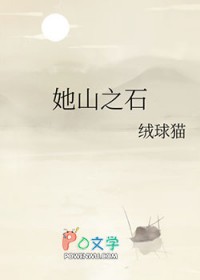 她山之石